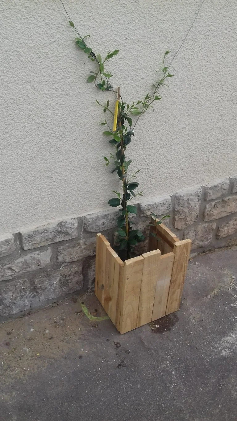 pot de fleur