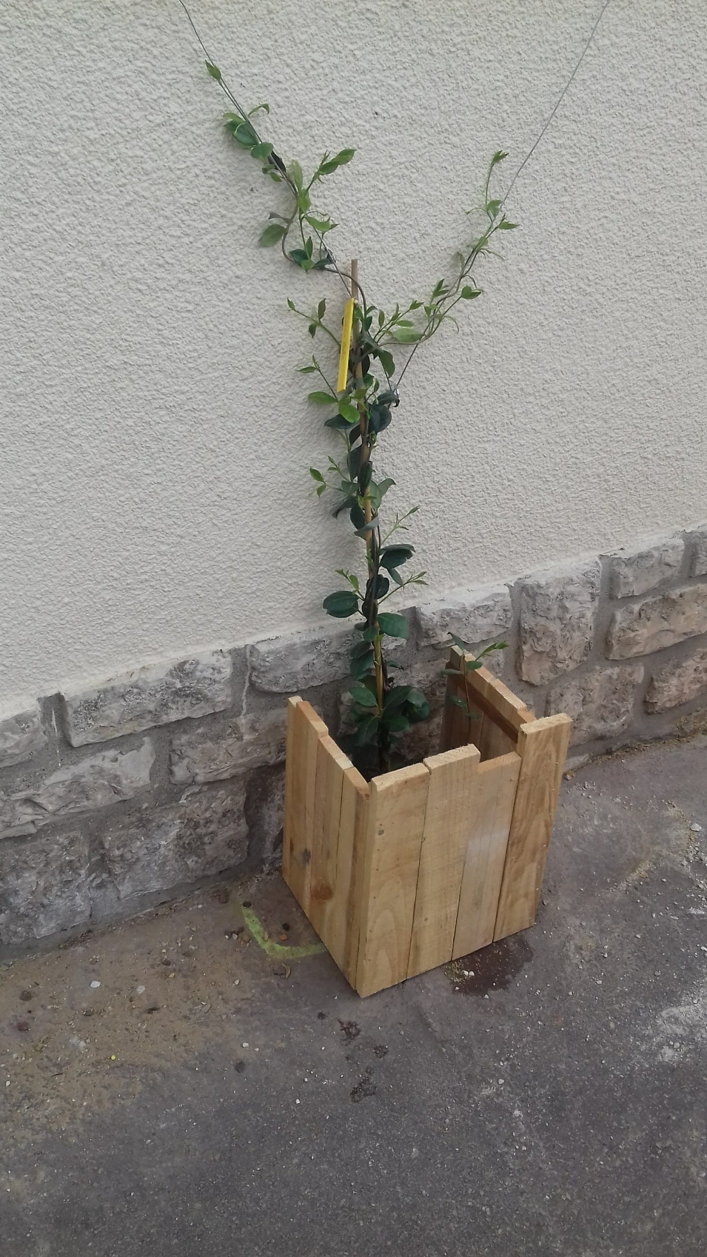 pot de fleur