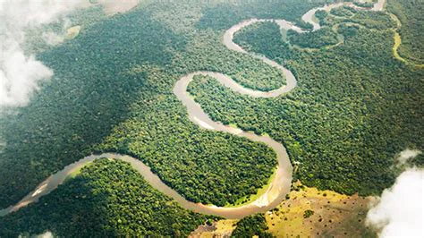 fleuve Congo