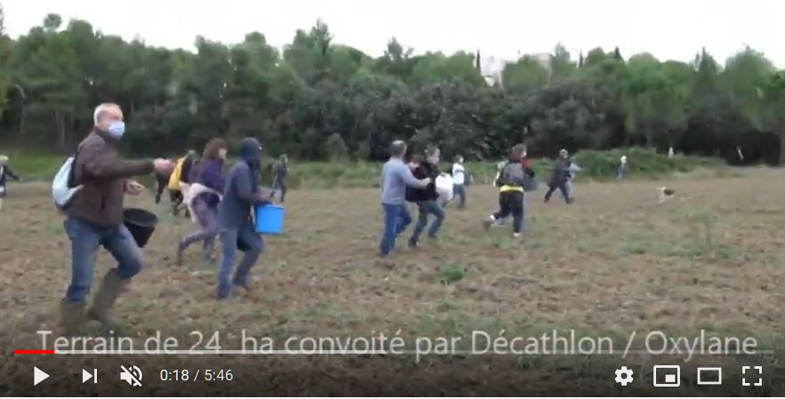 vidéo des semences ou du béton