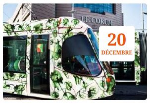 Tram et bus : Vive la gratuité ?..
