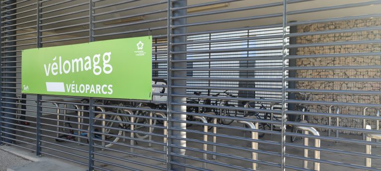 Ça pue, ça pollue, ça rend nerveux… et ça tue : Pour en finir avec le modèle centré sur la voiture