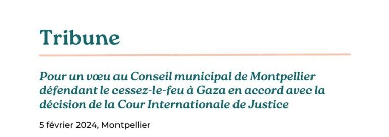 Tribune : Pour un vœu défendant le cessez-le-feu à Gaza en accord avec la décision de la Cour internationale de Justice