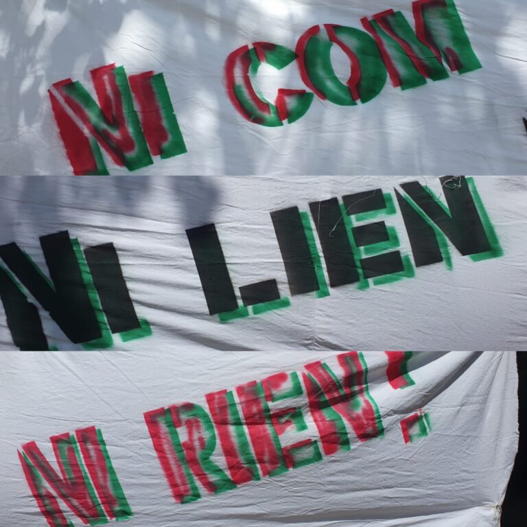 Contre le COM et le LIEN, Vélorution !